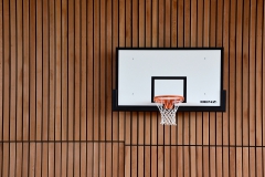 tschole-basketball-5500888_1920