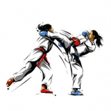 karate action 4