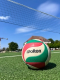Sommerfest 2024 Volleyball