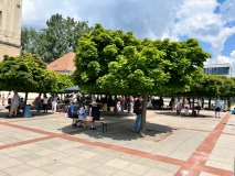 Sommerfest 2024 schattiges Plätzchen