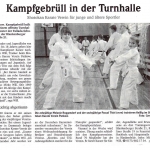 kampfgebruell_turnhalle_960pxb